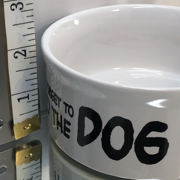 Peanuts | Dog | Charlie Brown And Snoopy Dog Bowl | Poshmark
